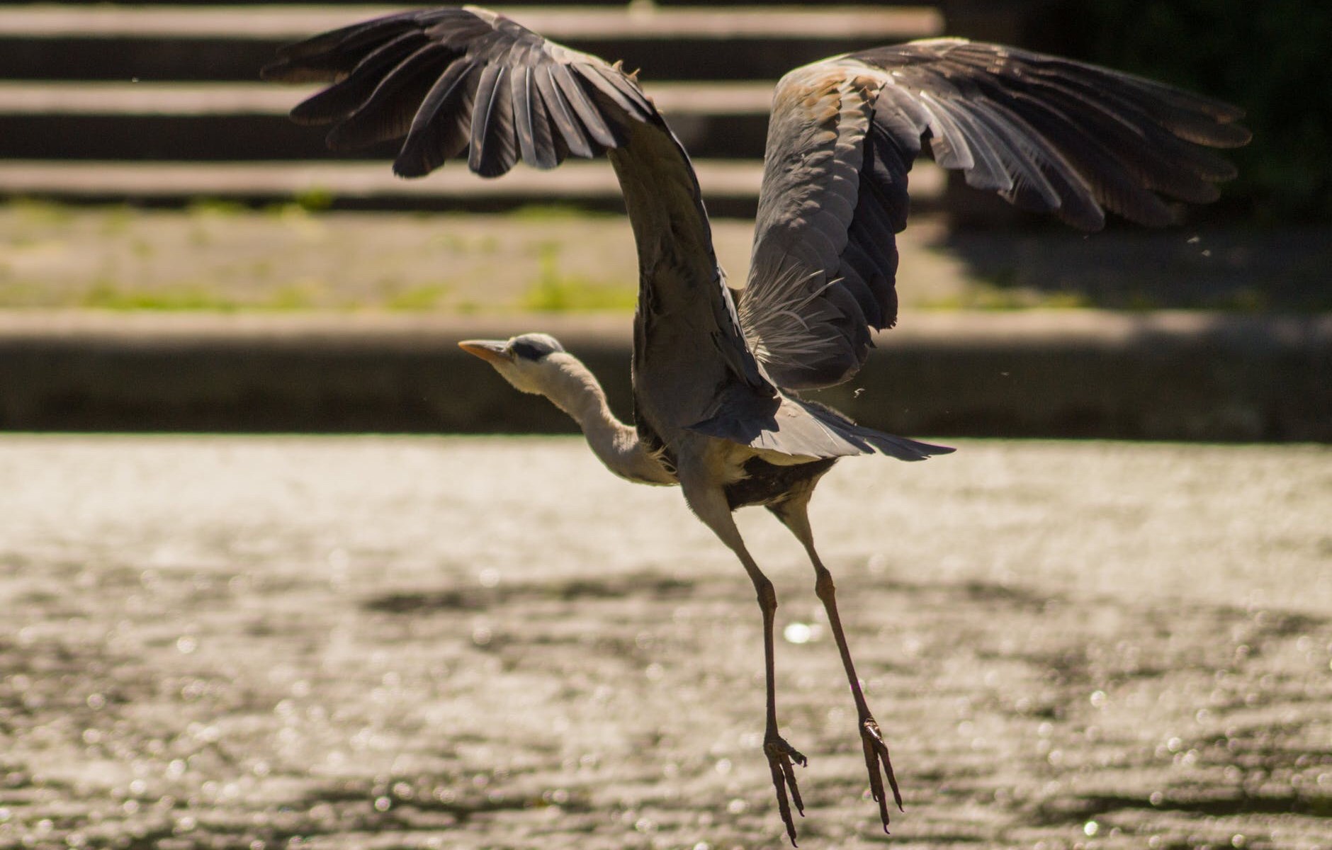 Challenge über-erfüllt