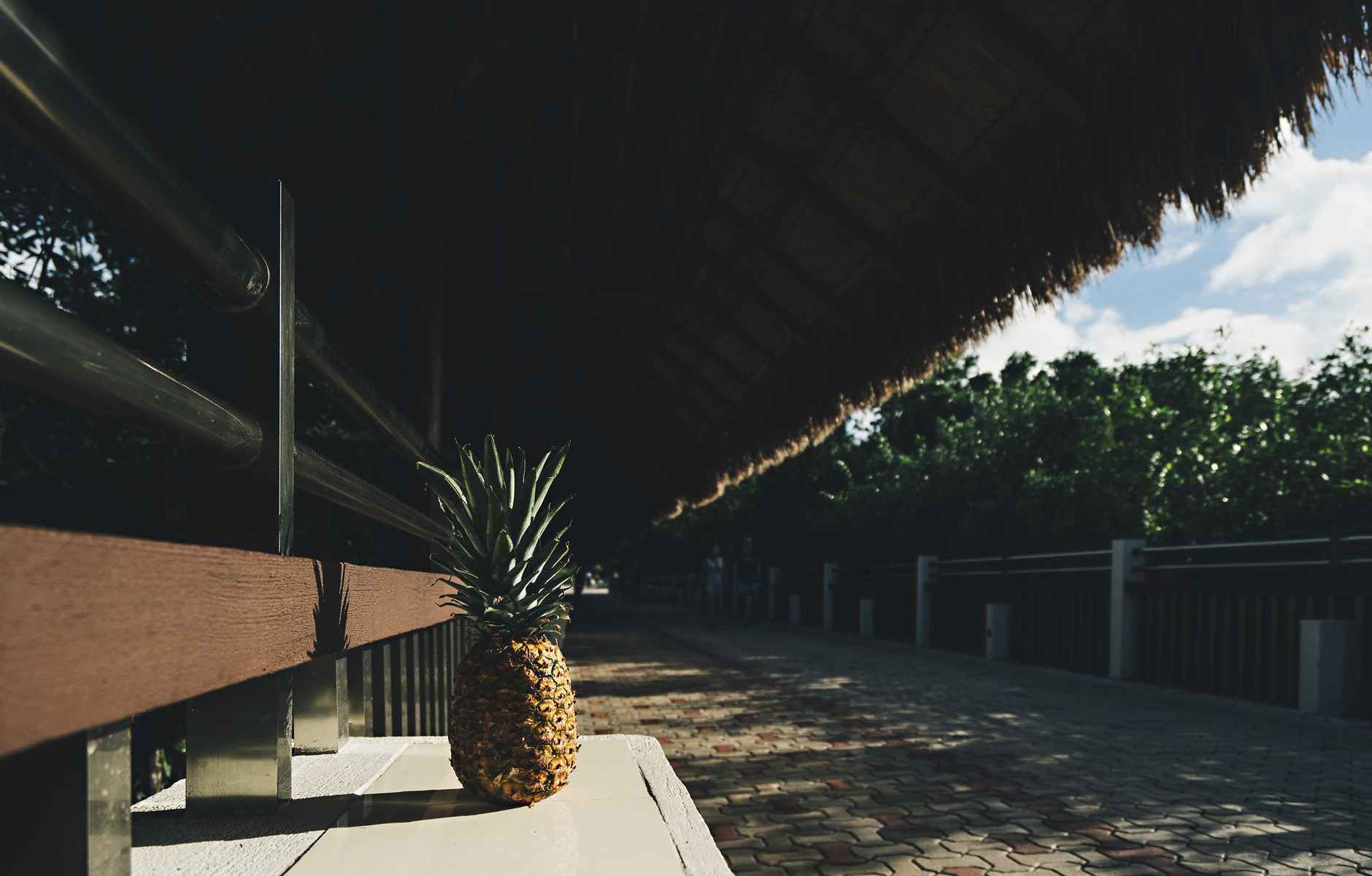 Die Wahrheit und so...