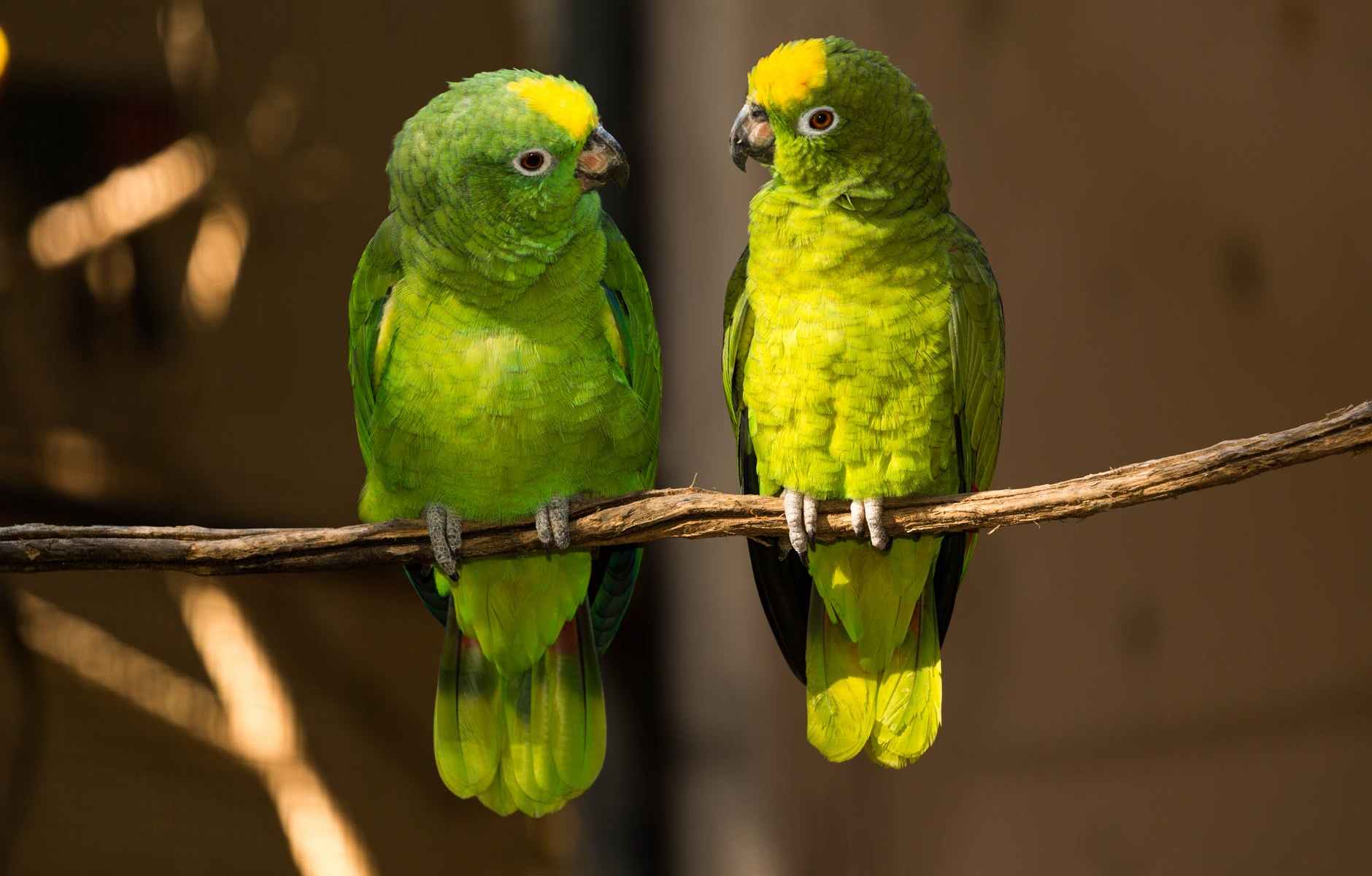 In guten wie in schlechten Zeiten