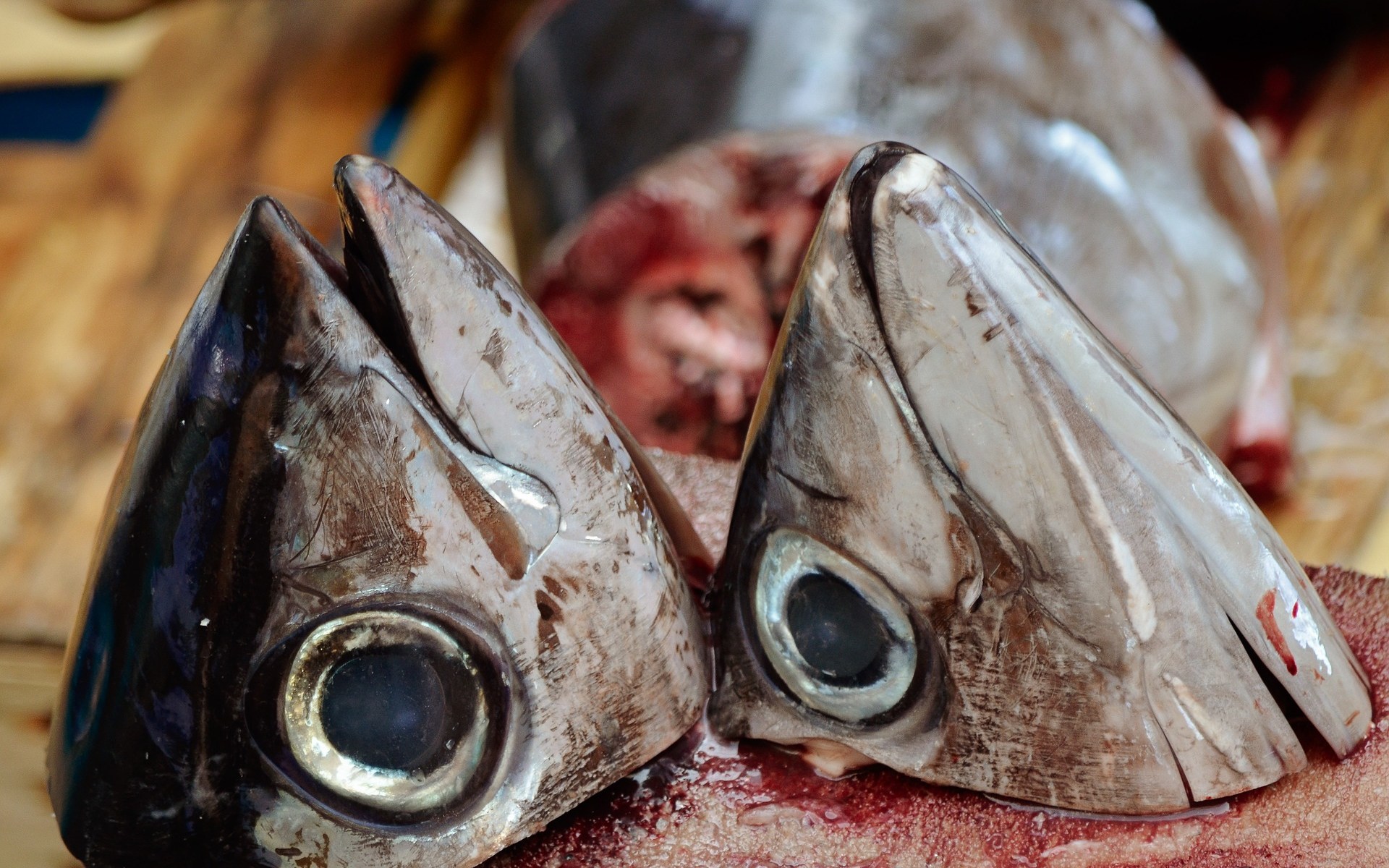 Listerien in der Wurst