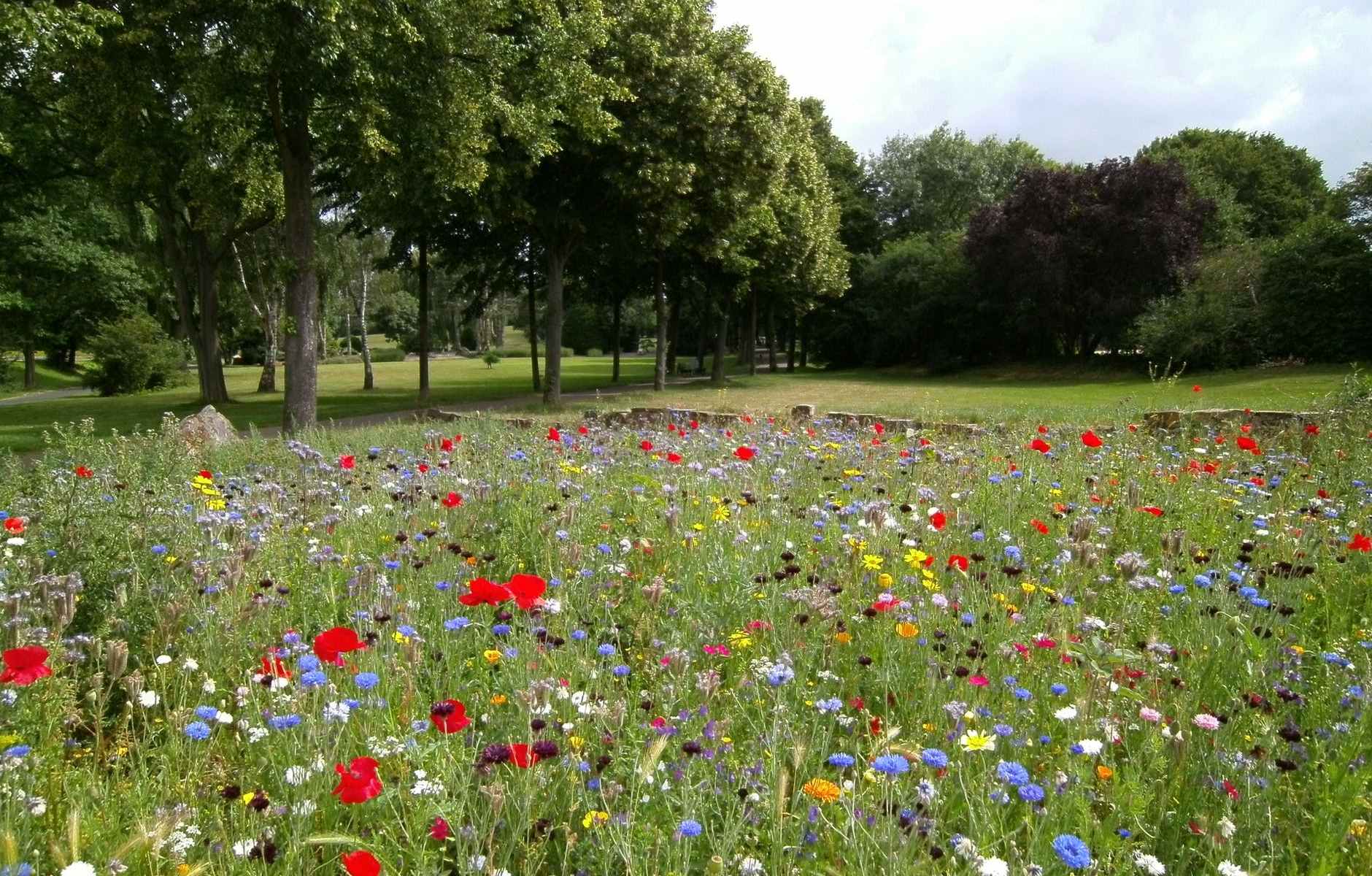 Genotyp, Phänotyp und Epigenetik