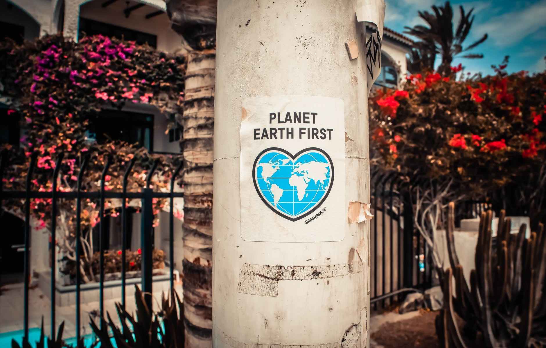 Vegan zu leben allein macht Dich nicht zum Gutmenschen